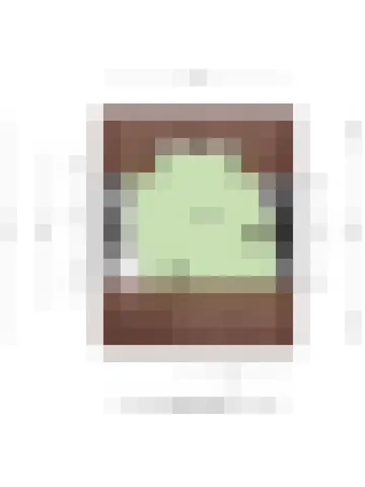 Fretstraat 21 Valkenswaard thumbnail 34