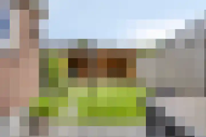 Fretstraat 21 Valkenswaard thumbnail 4