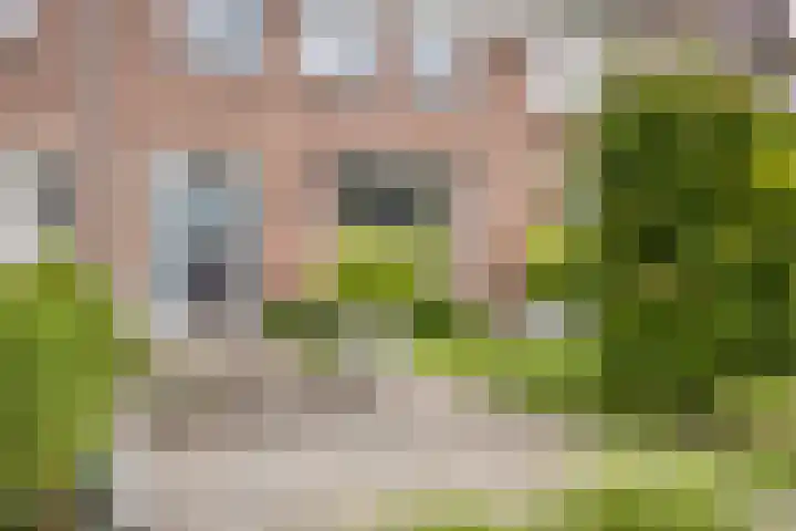 Fretstraat 21 Valkenswaard thumbnail 6