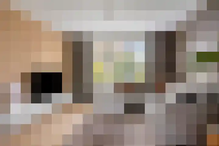 Fretstraat 21 Valkenswaard thumbnail 8