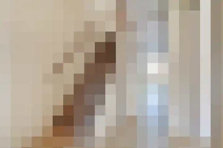 Fretweide 19 Zoetermeer thumbnail 8