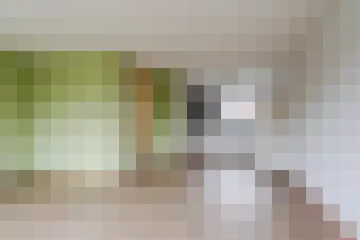 Fretweide 30 Zoetermeer thumbnail 11