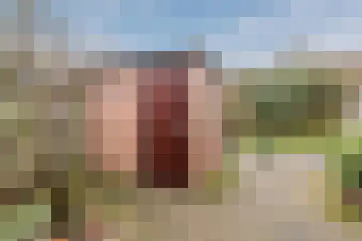 Fretweide 30 Zoetermeer thumbnail 34