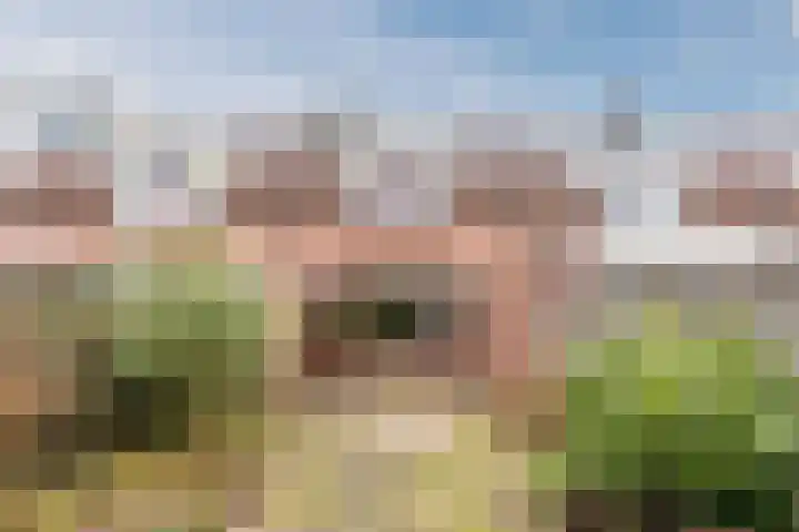 Fretweide 30 Zoetermeer thumbnail 36