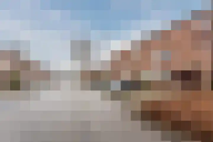 Fretweide 30 Zoetermeer thumbnail 37