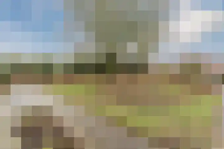 Fretweide 30 Zoetermeer thumbnail 38