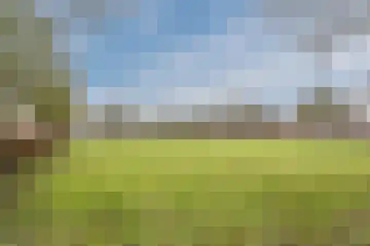 Fretweide 30 Zoetermeer thumbnail 39