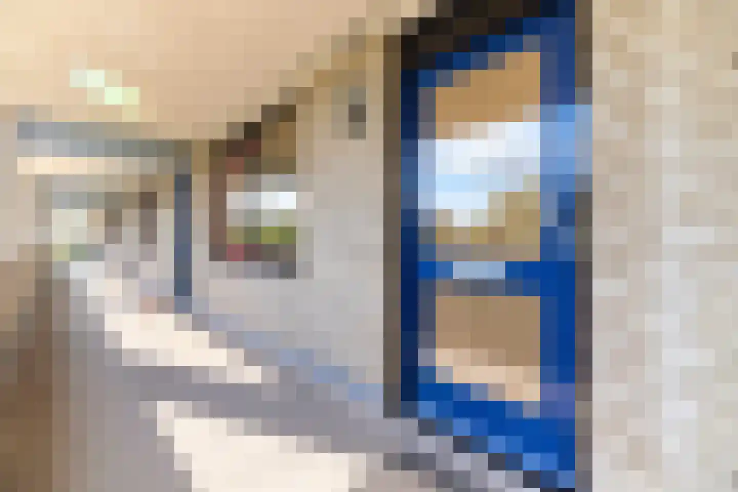 Freudstraat 4 Haarlem thumbnail 8