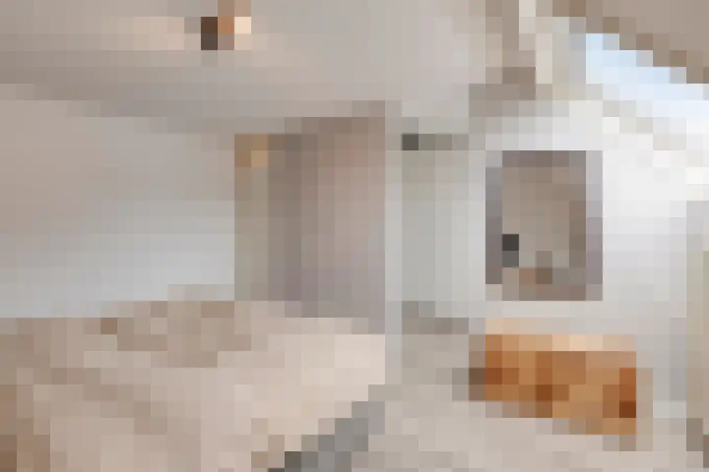 Freule Claralaan 16 Nuenen thumbnail 12