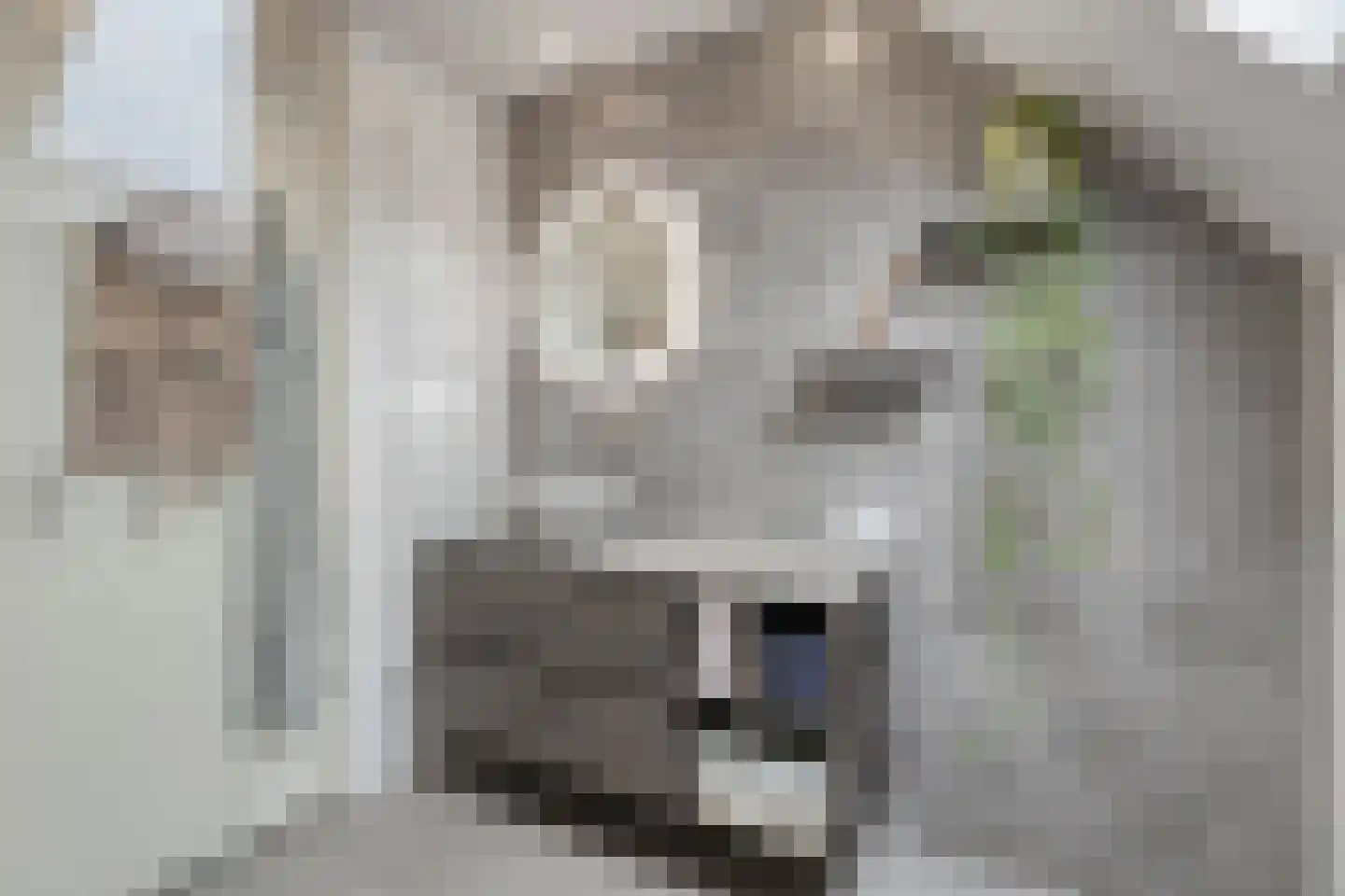 Freule Claralaan 16 Nuenen thumbnail 19
