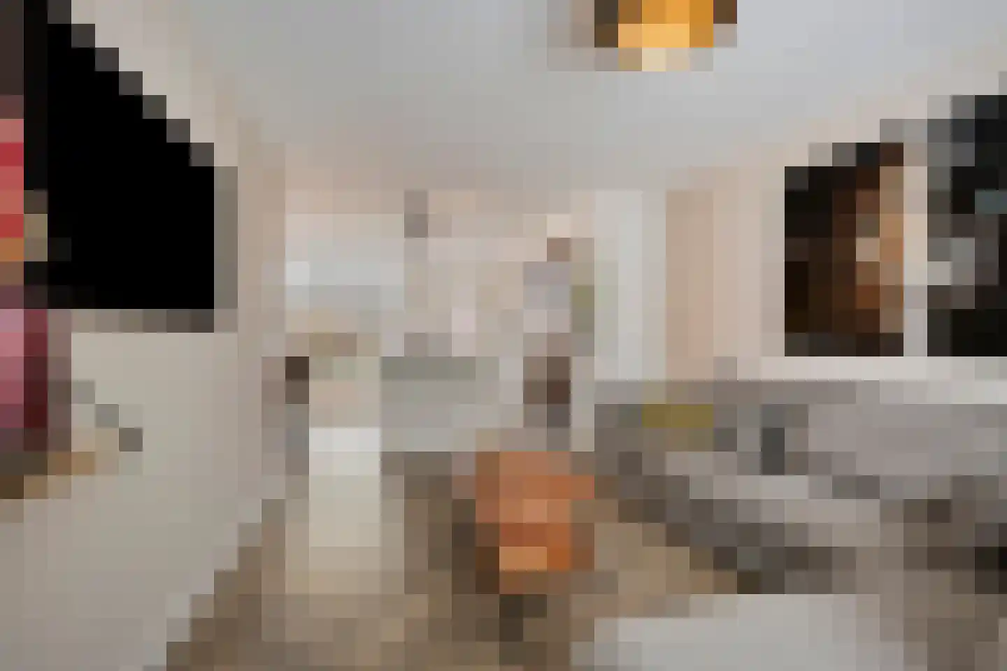 Freule Claralaan 16 Nuenen thumbnail 5