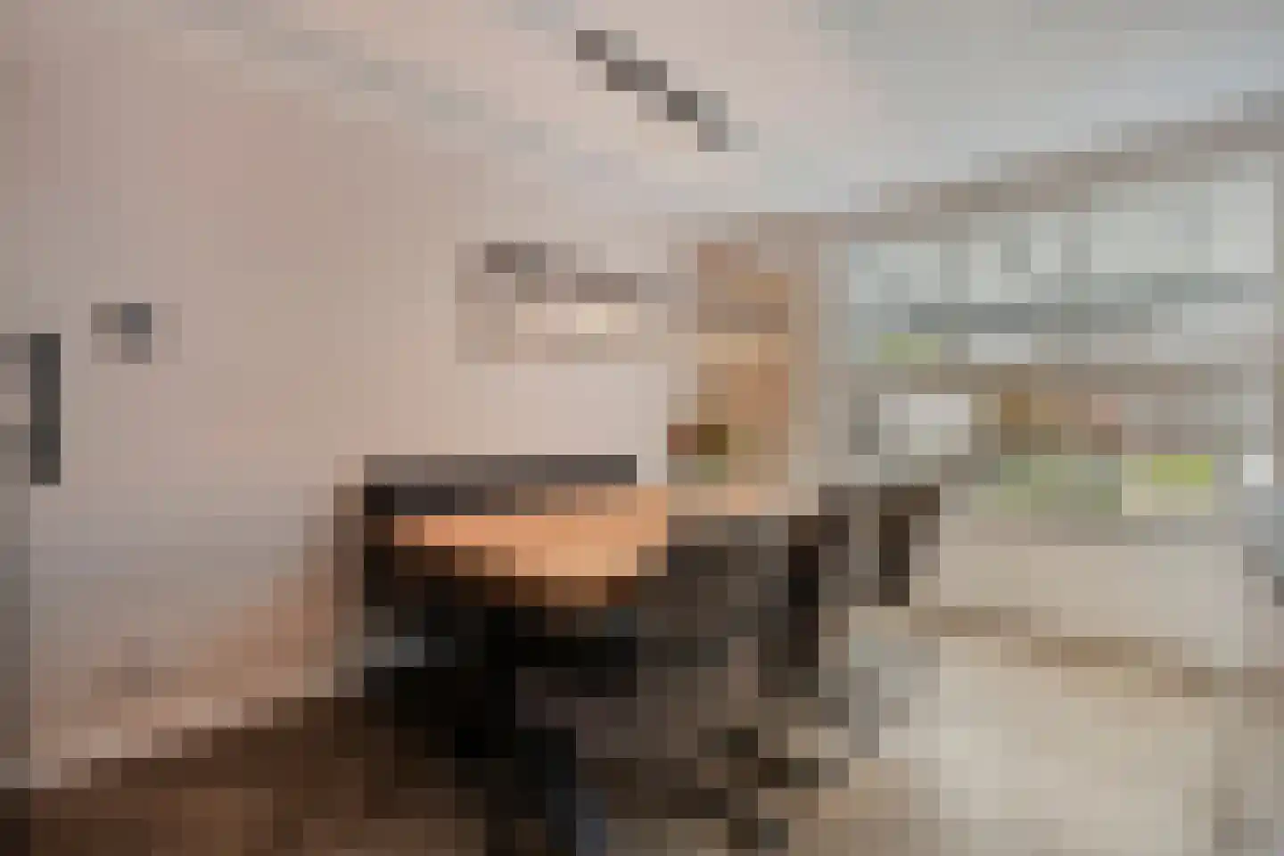 Freule Claralaan 16 Nuenen thumbnail 7