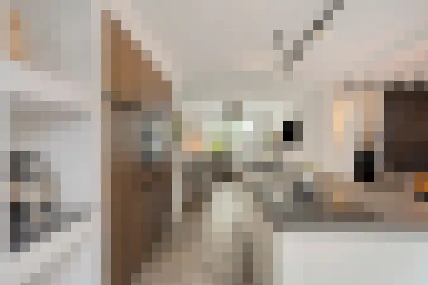 Freule Claralaan 16 Nuenen thumbnail 8