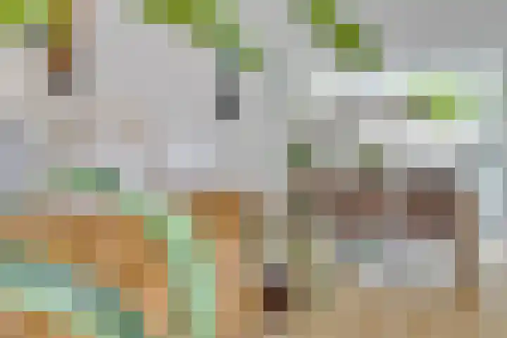 Freule van Dorthsingel 17 Pijnacker thumbnail 13