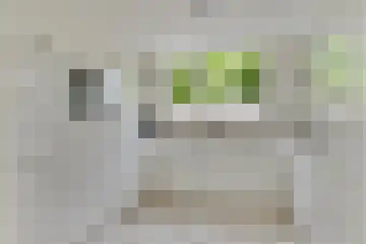 Freule van Dorthsingel 17 Pijnacker thumbnail 17
