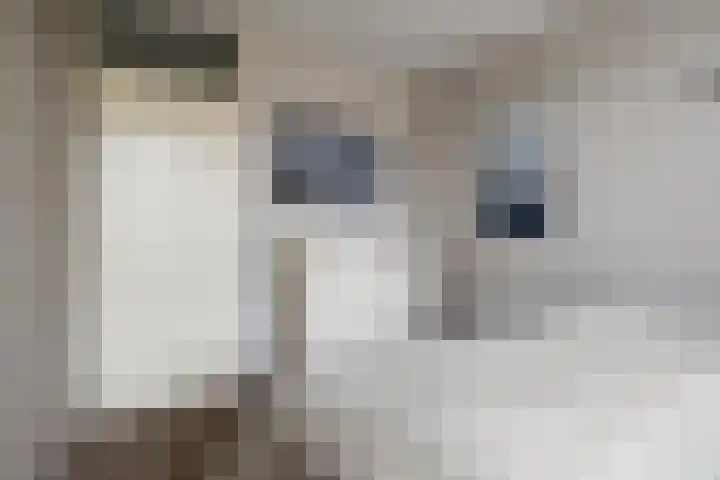 Freule van Dorthsingel 17 Pijnacker thumbnail 27