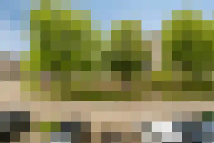 Freule van Dorthsingel 17 Pijnacker thumbnail 31