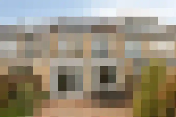 Freule van Dorthsingel 17 Pijnacker thumbnail 40