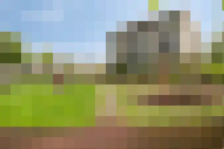 Freule van Dorthsingel 17 Pijnacker thumbnail 41