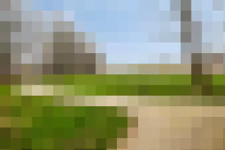 Freule van Dorthsingel 17 Pijnacker thumbnail 44
