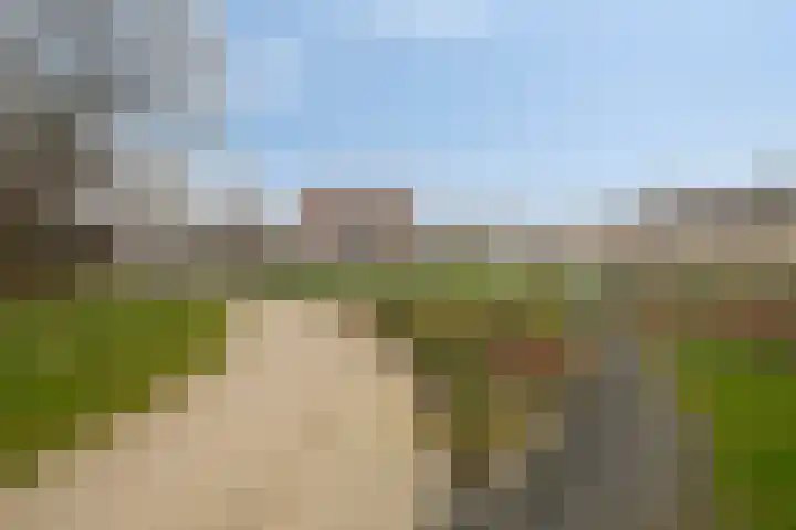 Freule van Dorthsingel 17 Pijnacker thumbnail 45