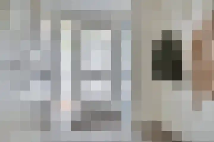 Freule van Dorthsingel 17 Pijnacker thumbnail 6