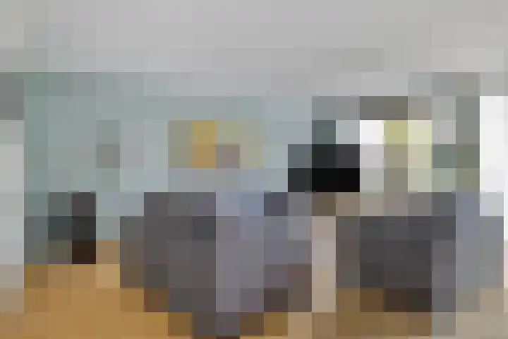 Freule van Dorthsingel 17 Pijnacker thumbnail 9