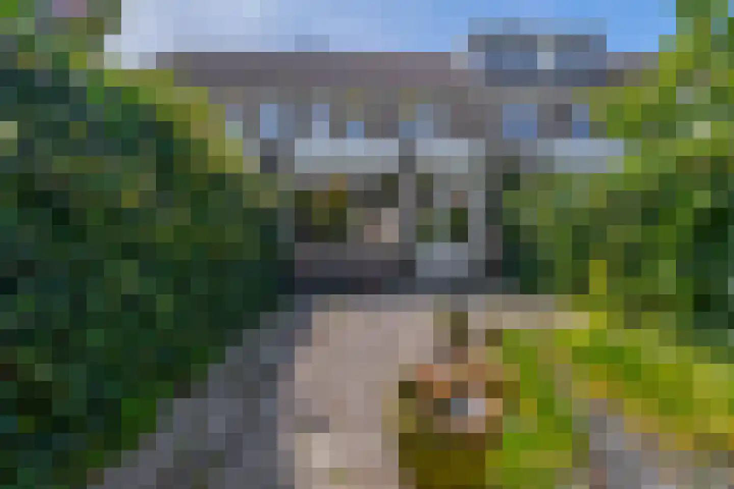 Freule van Dorthsingel 73 Pijnacker thumbnail 11