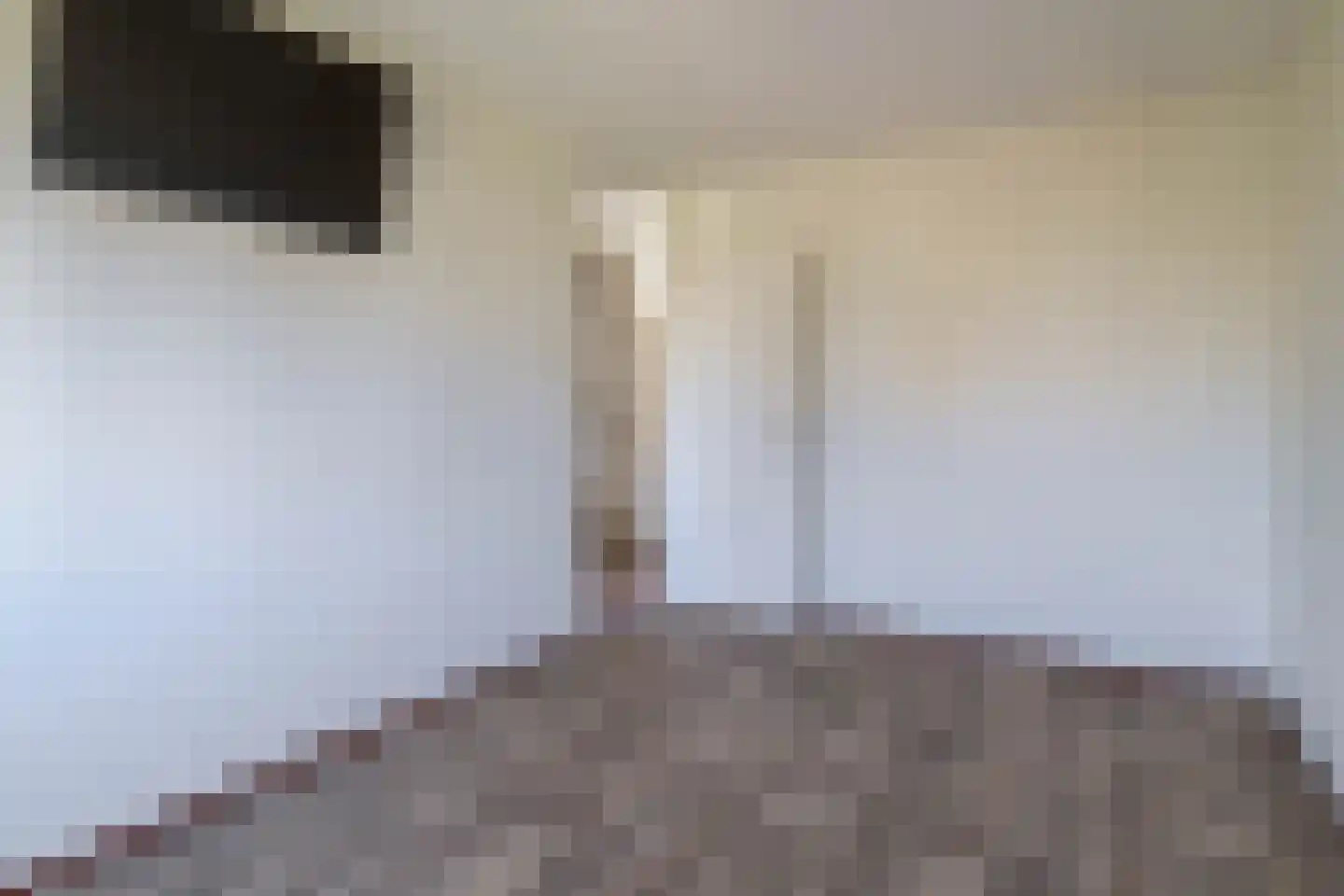 Freule van Dorthsingel 73 Pijnacker thumbnail 15