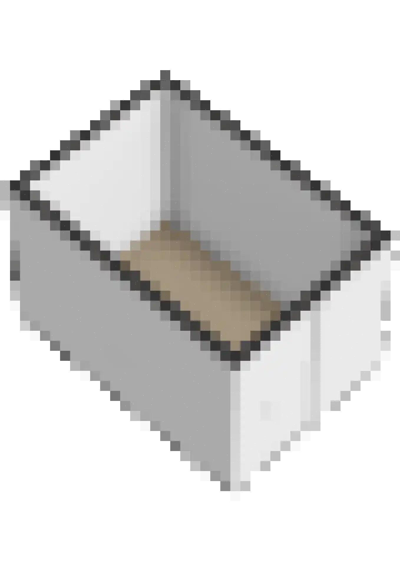 Freule van Dorthsingel 73 Pijnacker thumbnail 48