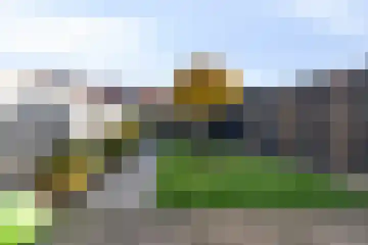 Freule van Dorthstraat 11 Winterswijk thumbnail 33