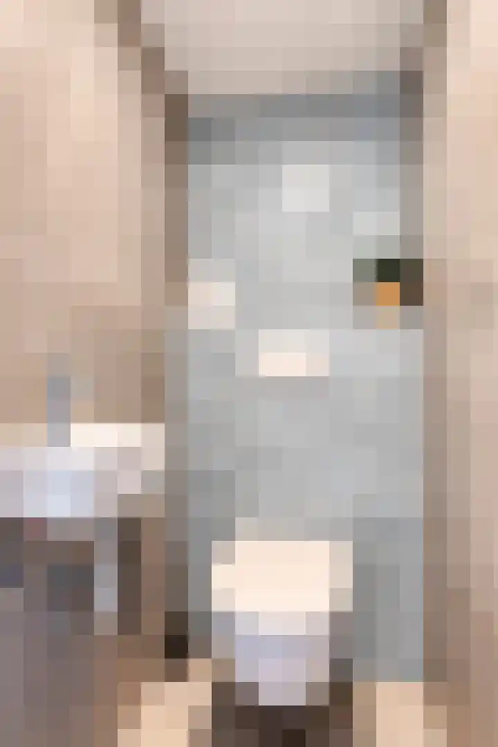 Freule van Dorthstraat 11 Winterswijk thumbnail 5