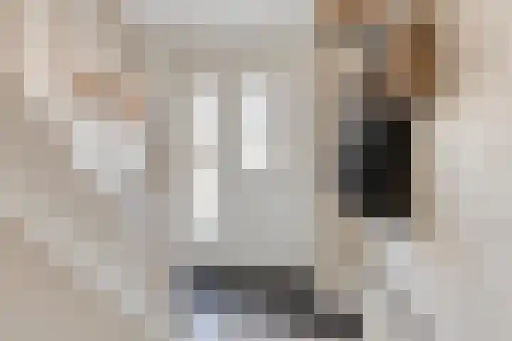 Freule van Dorthstraat 11 Winterswijk thumbnail 6