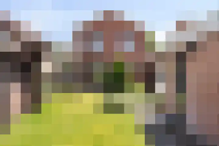Freule van Dorthstraat 44 Winterswijk thumbnail 24