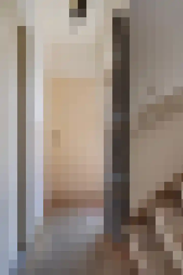 Freule van Dorthstraat 44 Winterswijk thumbnail 4