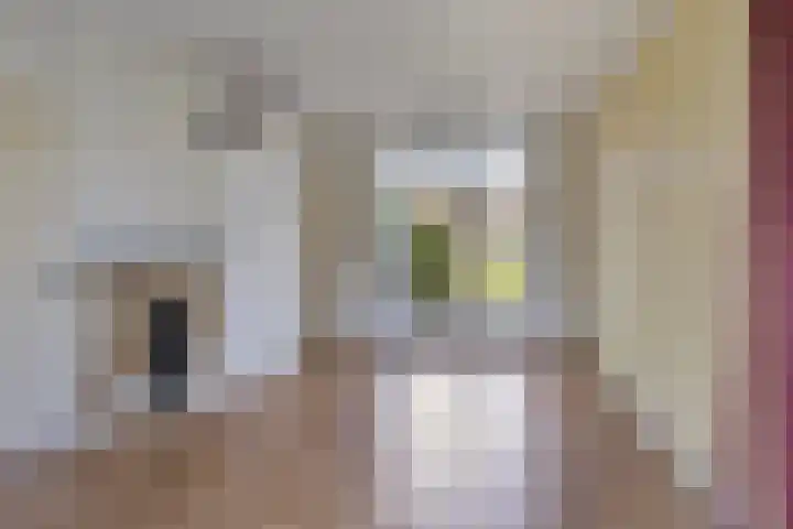 Freule van Dorthstraat 44 Winterswijk thumbnail 6