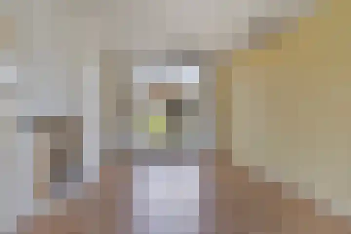 Freule van Dorthstraat 44 Winterswijk thumbnail 7