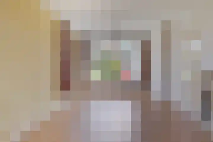 Freule van Dorthstraat 44 Winterswijk thumbnail 8