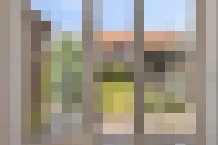 Freule van Dorthstraat 44 Winterswijk thumbnail 9