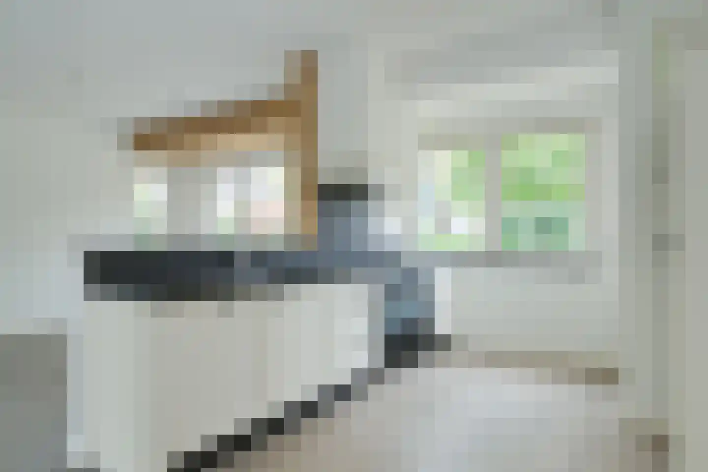 Freule van Dorthstraat 70 Winterswijk thumbnail 14