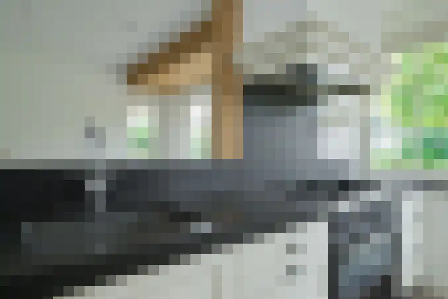Freule van Dorthstraat 70 Winterswijk thumbnail 15