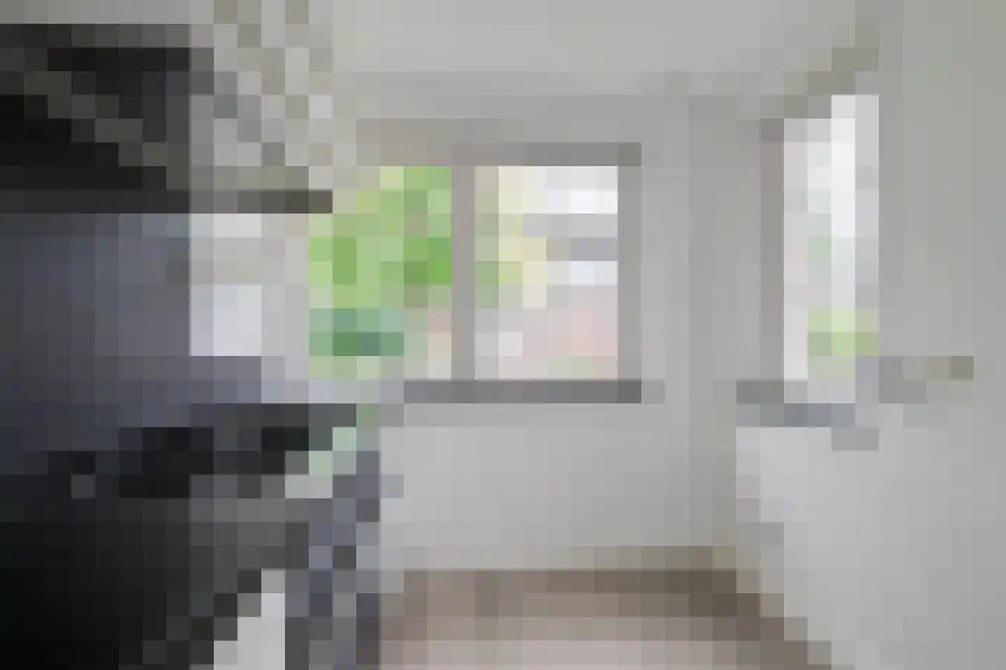 Freule van Dorthstraat 70 Winterswijk thumbnail 17