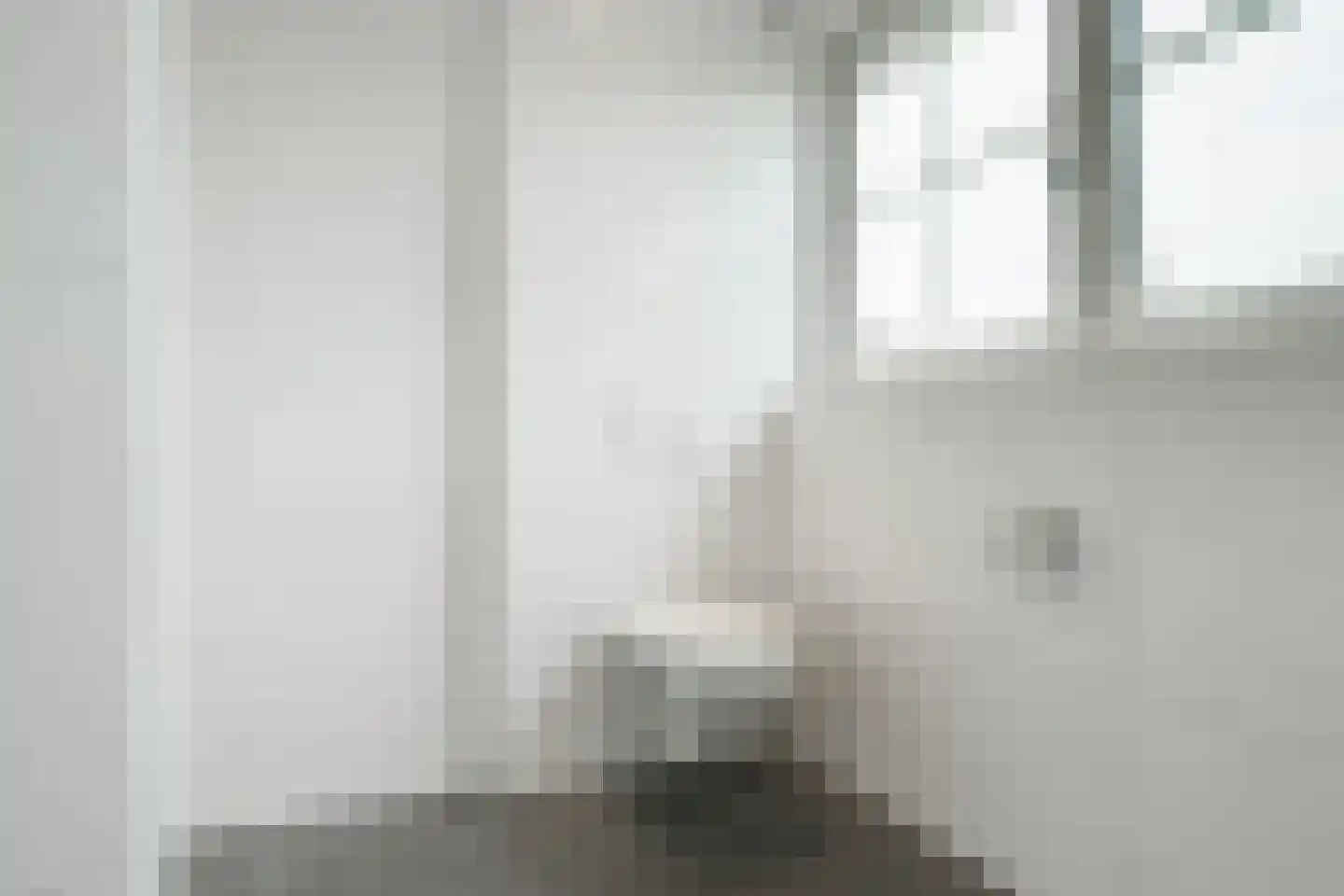 Freule van Dorthstraat 70 Winterswijk thumbnail 38