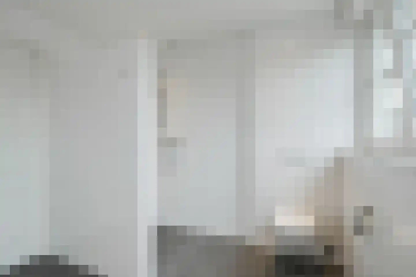 Freule van Dorthstraat 70 Winterswijk thumbnail 39