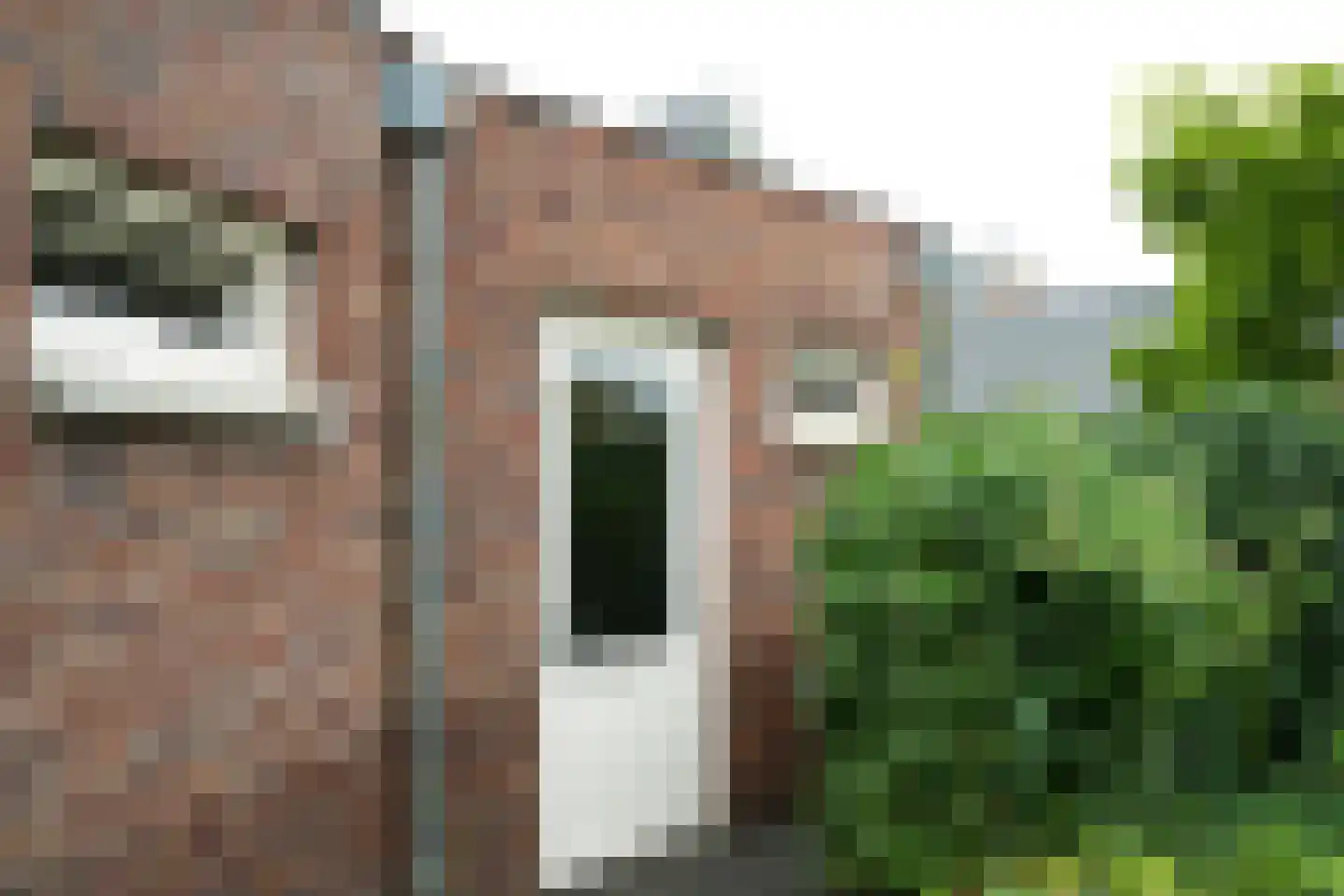 Freule van Dorthstraat 70 Winterswijk thumbnail 42