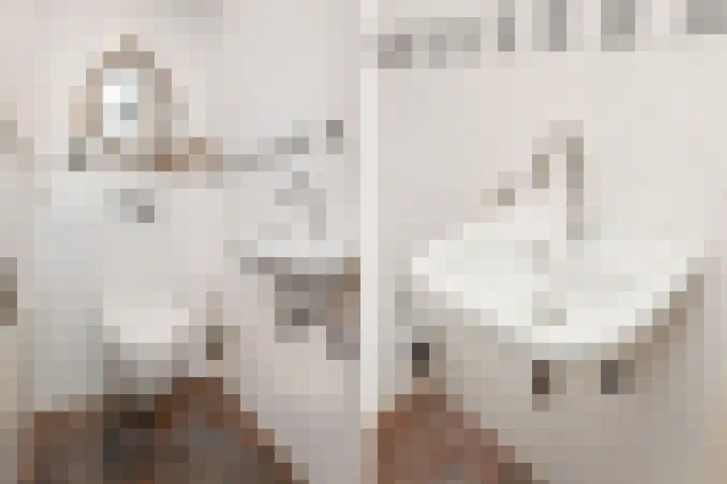 Freule Wttewaall van Stoetwegensingel 12 Pijnacker thumbnail 10