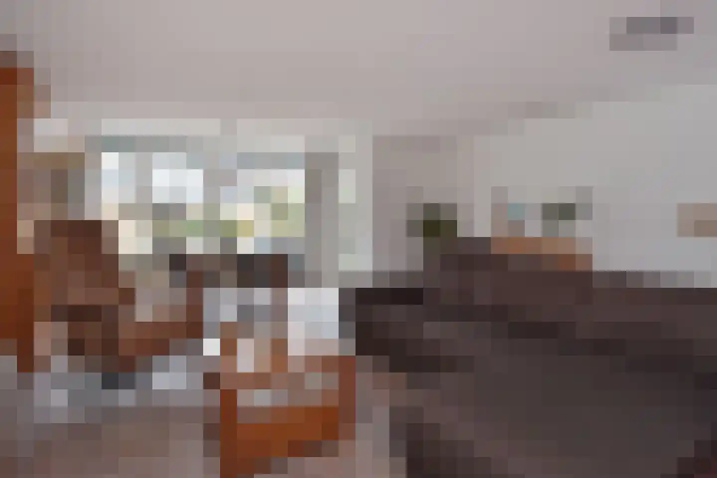 Freule Wttewaall van Stoetwegensingel 12 Pijnacker thumbnail 13
