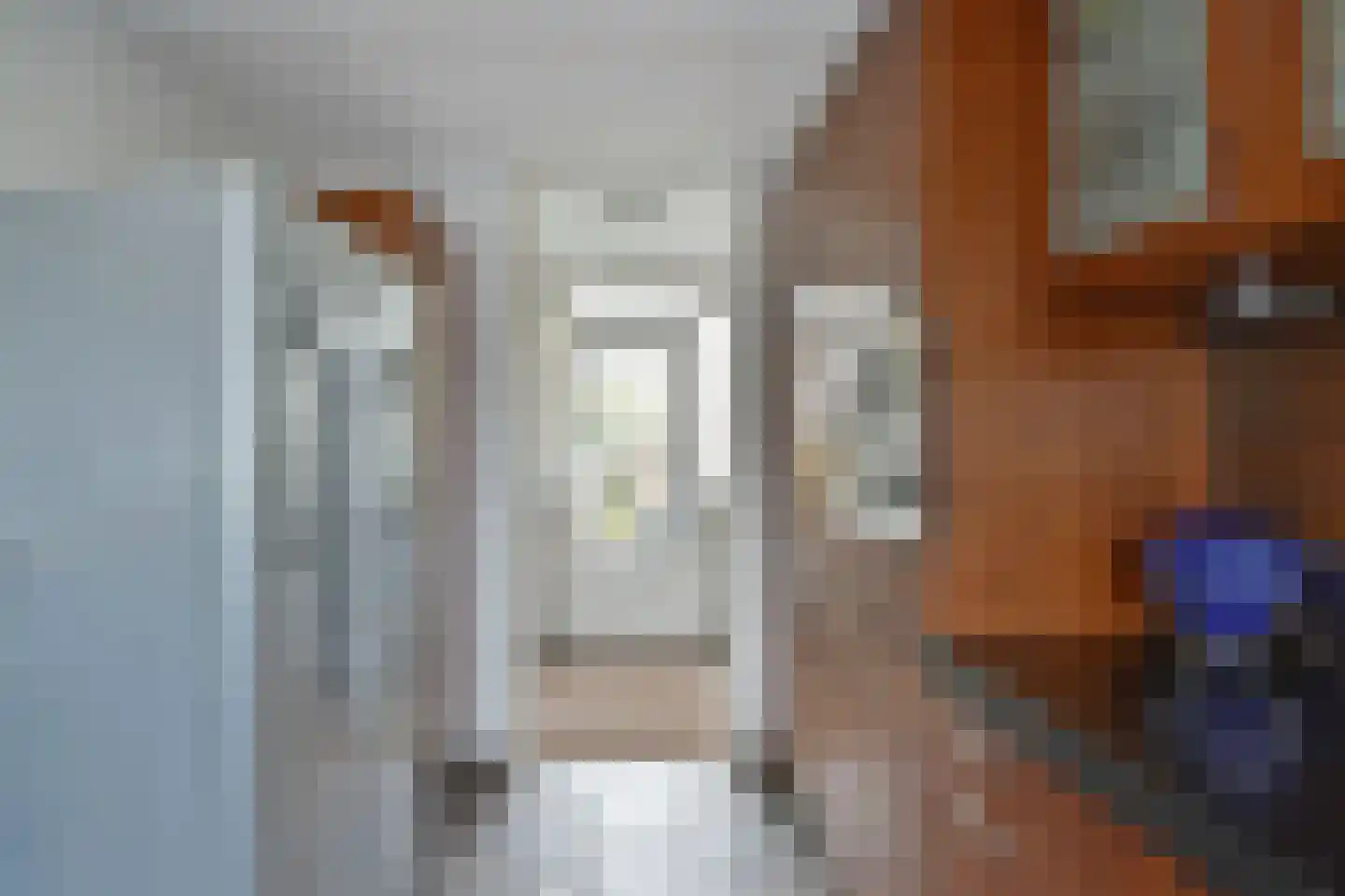 Freule Wttewaall van Stoetwegensingel 12 Pijnacker thumbnail 20