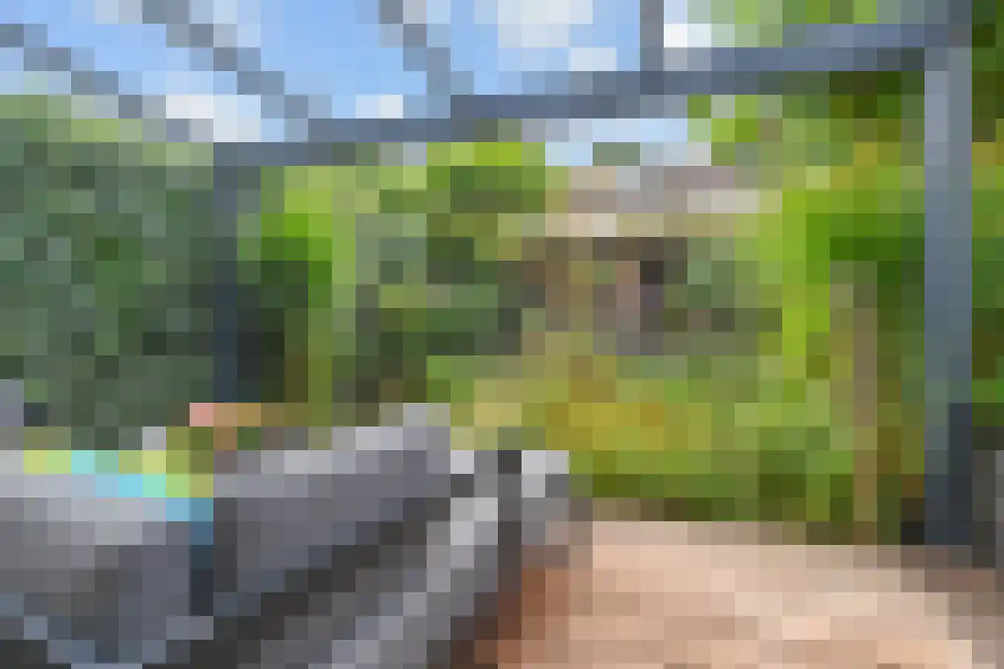 Freule Wttewaall van Stoetwegensingel 12 Pijnacker thumbnail 25