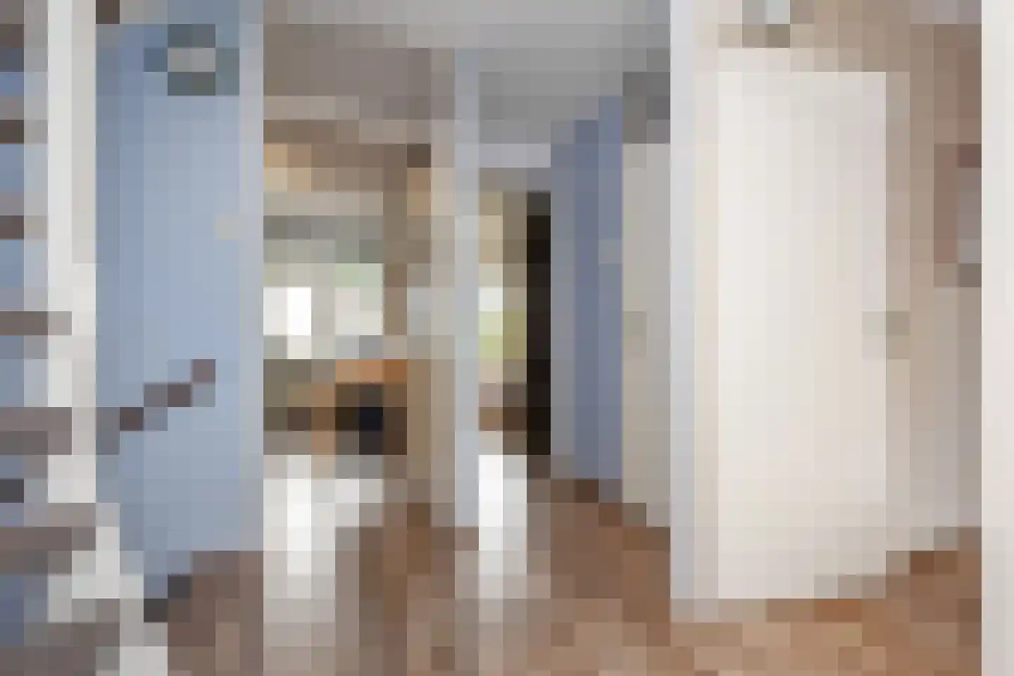 Freule Wttewaall van Stoetwegensingel 12 Pijnacker thumbnail 33